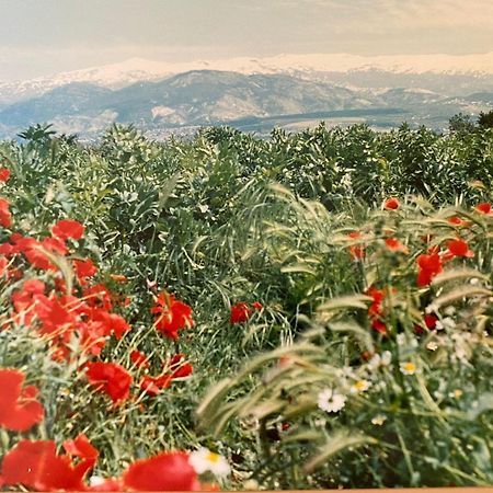 Encantador Cortijo La Emiliana A 5 Minutos Del Centro Churriana de la Vega Buitenkant foto