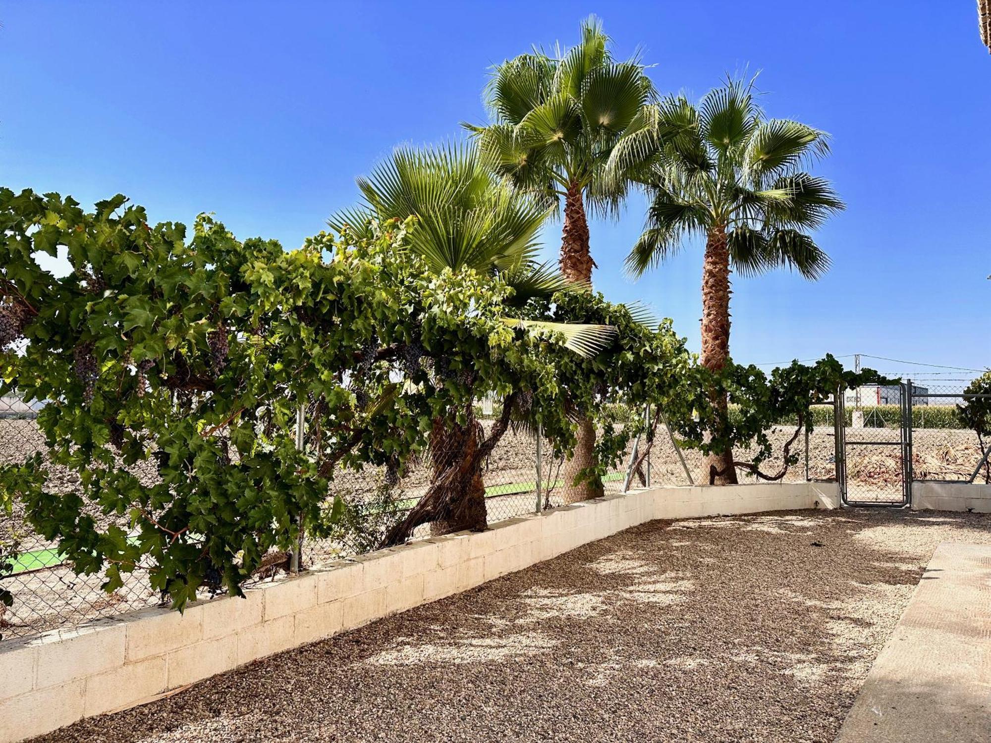 Encantador Cortijo La Emiliana A 5 Minutos Del Centro Churriana de la Vega Buitenkant foto